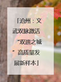沧州：文武双脉激活“双遗之城”高质量发展新样本