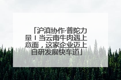 沪滇协作·普陀力量〡当云南牛肉遇上意面，这家企业迈上自研发展快车道