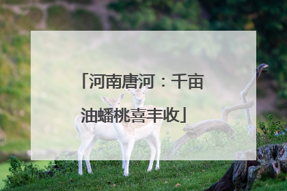 河南唐河：千亩油蟠桃喜丰收
