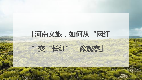 河南文旅，如何从“网红”变“长红”｜豫观察