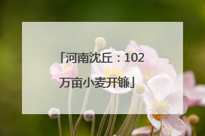 河南沈丘：102 万亩小麦开镰