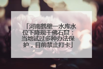 河南鹤壁一水库水位下降现千佛石窟：当地试过多种办法保护，目前禁止打卡