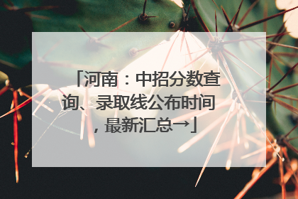 河南：中招分数查询、录取线公布时间，最新汇总→