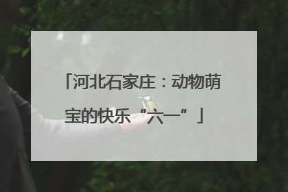 河北石家庄：动物萌宝的快乐“六一”