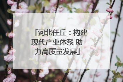 河北任丘：构建现代产业体系 助力高质量发展