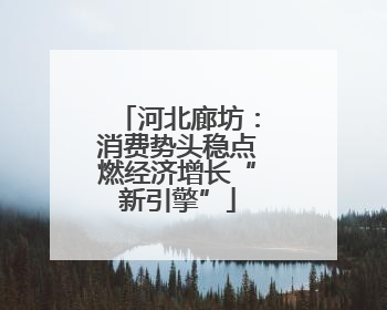 河北廊坊：消费势头稳点燃经济增长“新引擎”