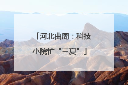 河北曲周：科技小院忙“三夏”