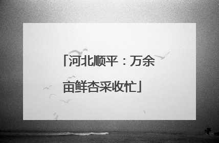 河北顺平：万余亩鲜杏采收忙