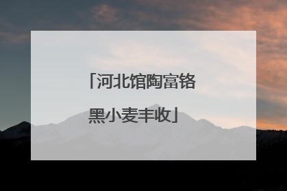 河北馆陶富铬黑小麦丰收