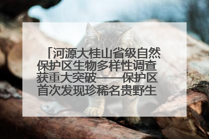 河源大桂山省级自然保护区生物多样性调查获重大突破——保护区首次发现珍稀名贵野生干巴菌与钝尾两头蛇