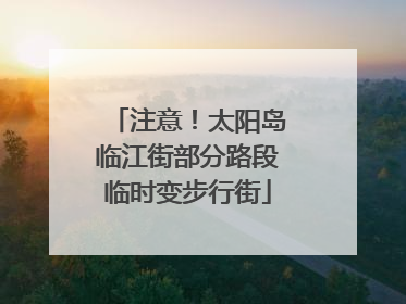 注意！太阳岛临江街部分路段临时变步行街