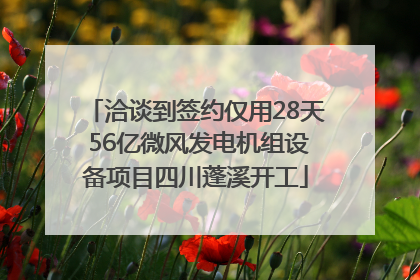 洽谈到签约仅用28天 56亿微风发电机组设备项目四川蓬溪开工