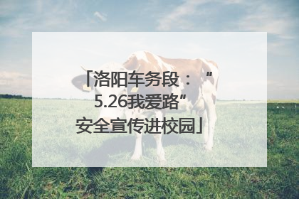 洛阳车务段：“5.26我爱路”安全宣传进校园
