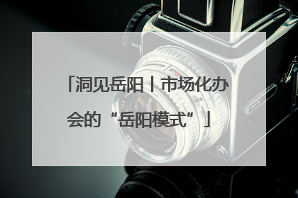 洞见岳阳丨市场化办会的“岳阳模式”