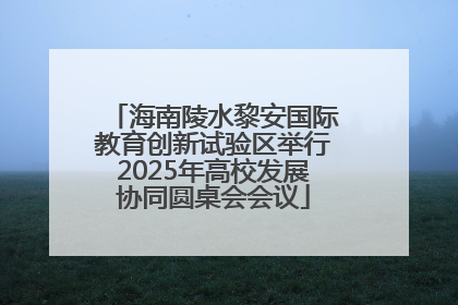 海南陵水黎安国际教育创新试验区举行2025年高校发展协同圆桌会会议