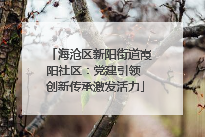 海沧区新阳街道霞阳社区：党建引领 创新传承激发活力