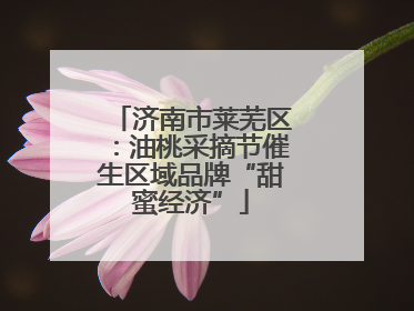 济南市莱芜区：油桃采摘节催生区域品牌“甜蜜经济”