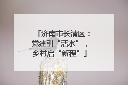 济南市长清区：党建引“活水”，乡村启“新程”