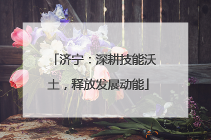 济宁：深耕技能沃土，释放发展动能