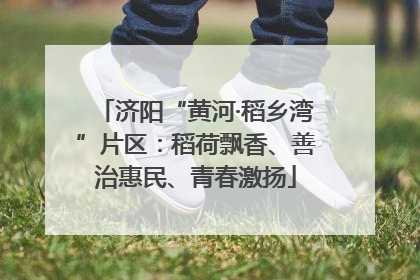 济阳“黄河·稻乡湾”片区：稻荷飘香、善治惠民、青春激扬