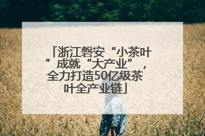 浙江磐安“小茶叶”成就“大产业”，全力打造50亿级茶叶全产业链