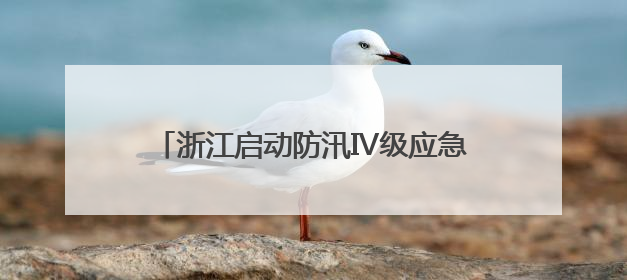 浙江启动防汛Ⅳ级应急响应 多举措应对汛情
