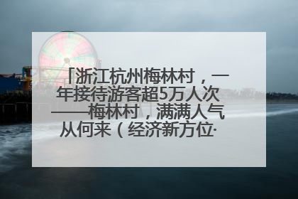 浙江杭州梅林村，一年接待游客超5万人次——梅林村，满满人气从何来（经济新方位·农村消费观察）