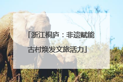 浙江桐庐：非遗赋能古村焕发文旅活力