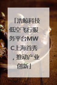 浩鲸科技低空飞行服务平台MWC上海首秀，推动产业创新