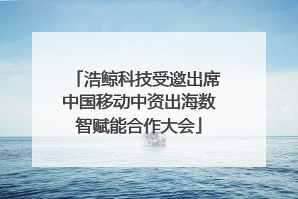 浩鲸科技受邀出席中国移动中资出海数智赋能合作大会