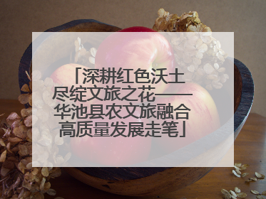 深耕红色沃土 尽绽文旅之花——华池县农文旅融合高质量发展走笔
