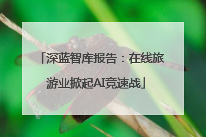 深蓝智库报告：在线旅游业掀起AI竞速战