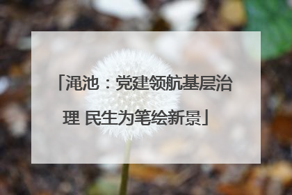 渑池：党建领航基层治理 民生为笔绘新景