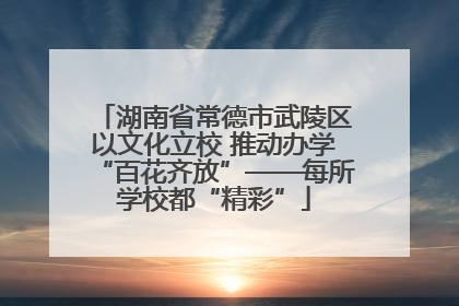 湖南省常德市武陵区以文化立校 推动办学“百花齐放”——每所学校都“精彩”