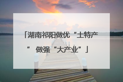 湖南祁阳做优“土特产” 做强“大产业”