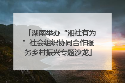 湖南举办“湘社有为”社会组织协同合作服务乡村振兴专题沙龙