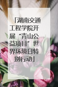 湖南交通工程学院开展“青山公益项目”世界环境日特别行动