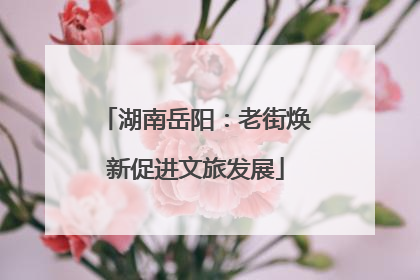 湖南岳阳：老街焕新促进文旅发展
