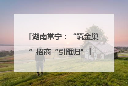 湖南常宁：“筑金巢”招商“引雁归”