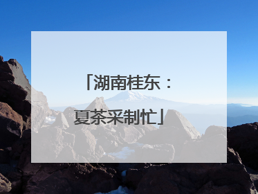 湖南桂东：夏茶采制忙