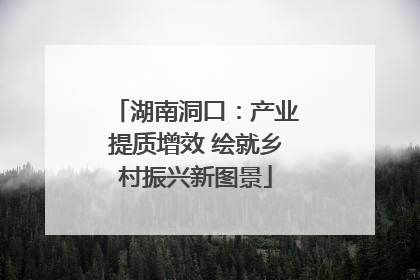 湖南洞口：产业提质增效 绘就乡村振兴新图景