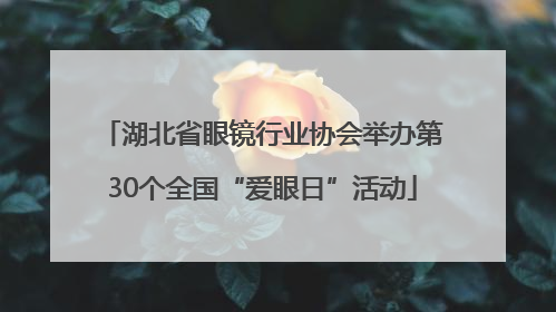 湖北省眼镜行业协会举办第30个全国“爱眼日”活动