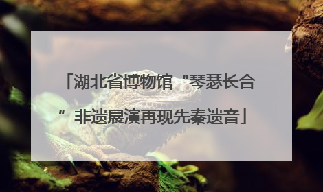湖北省博物馆“琴瑟长合”非遗展演再现先秦遗音