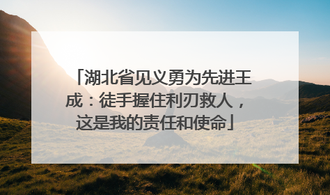 湖北省见义勇为先进王成：徒手握住利刃救人，这是我的责任和使命