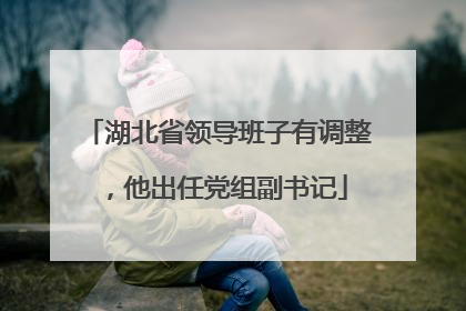 湖北省领导班子有调整，他出任党组副书记