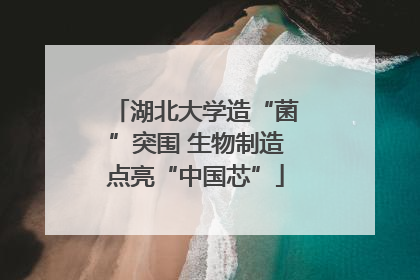 湖北大学造“菌”突围 生物制造点亮“中国芯”