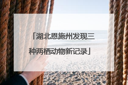 湖北恩施州发现三种两栖动物新记录