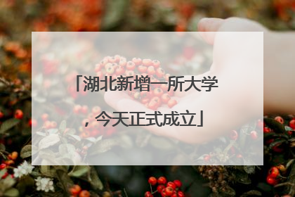 湖北新增一所大学，今天正式成立