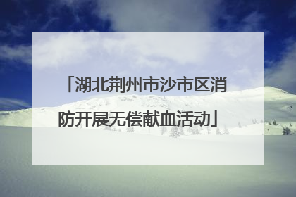 湖北荆州市沙市区消防开展无偿献血活动
