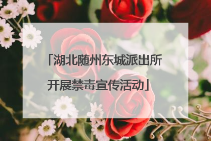 湖北随州东城派出所开展禁毒宣传活动